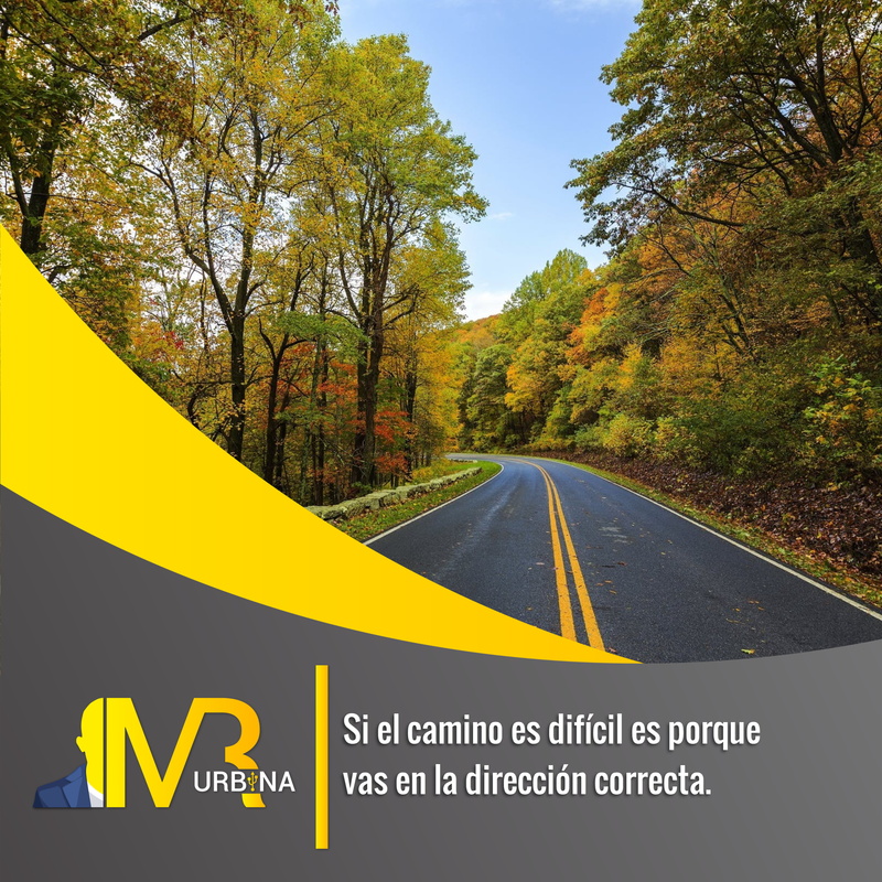 symbol, transportation, direction, plant, road marking, communication, 2K, information, sign, yellow, guidance, tree, change, autumn, no people, urbina