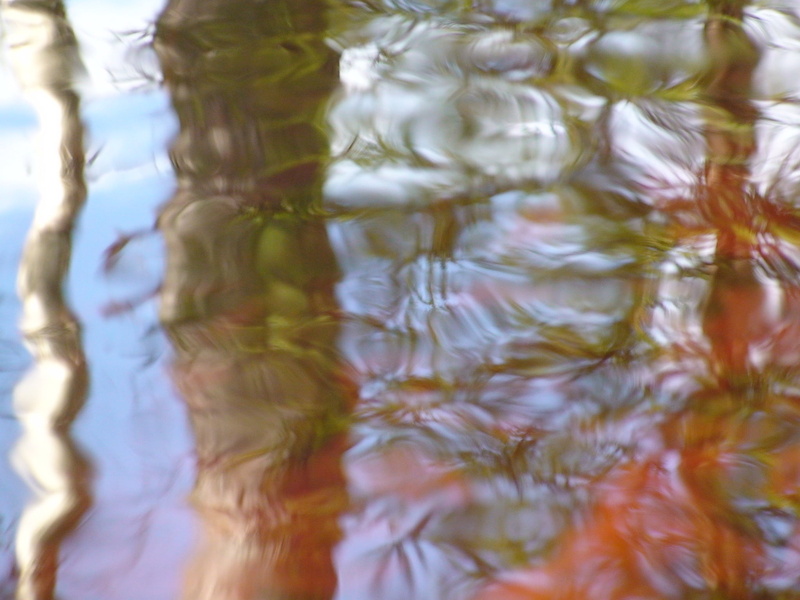 water surface, backgrounds, close-up, full frame, reflexion, day, lake, high angle view, nature, reflection, outdoors, rippled, 1080P, motion, swimming