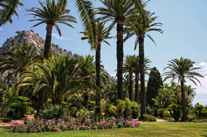 2K, Park, grass, lawn, France, Menton, flowers, palm trees