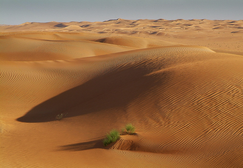tunisia, beauty in nature, sunlight, land, non-urban scene, sand dune, scenics - nature, travel destinations, desert, oasis, climate, remote, sky, environment