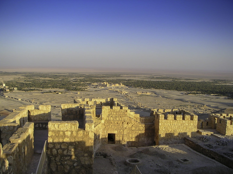 ancient civilization, travel, old ruin, high angle view, building, day, trees, building exterior, palmyra, ruined, nature, outdoors, oasis, history, clear sky