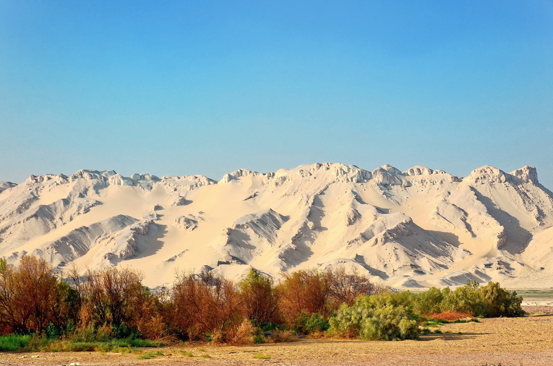 libyan desert, mountain, tree, sky, mountain range, no people, travel, plant, non-urban scene, copy space, semi-arid, outdoors, landscape, oasis-el qasr