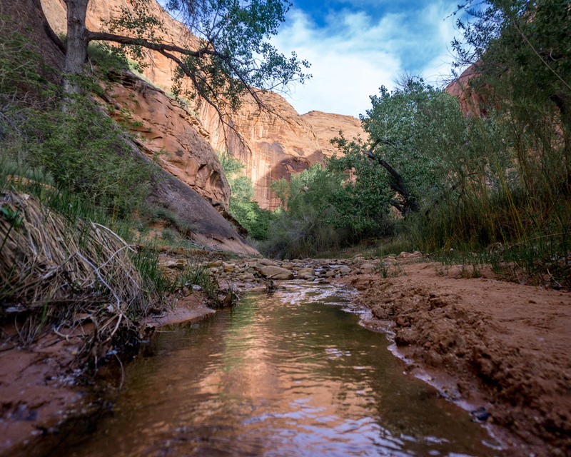 trees, 4K, mountain, flowing, rock, oasis, non-urban scene, utah, eroded, flowing water, tranquility, land, backpacking, water, scenics - nature, river