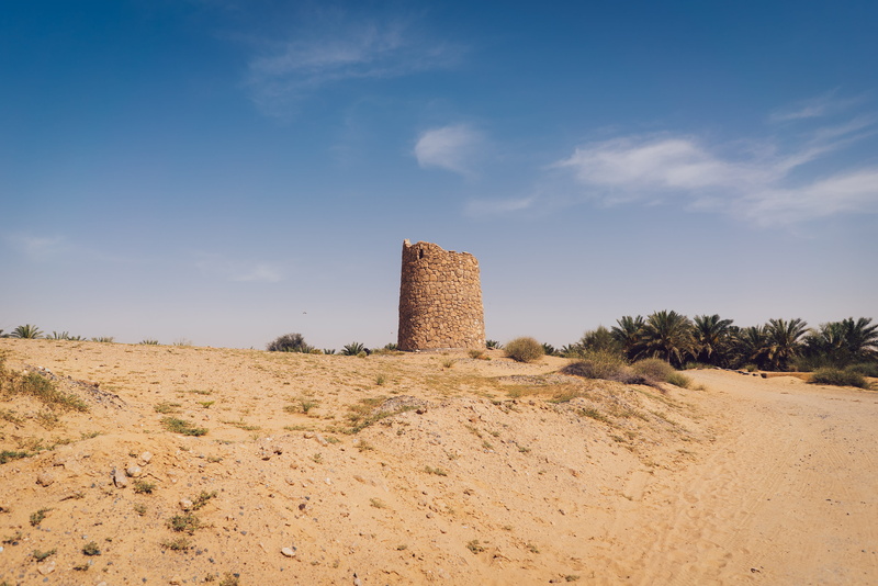 uae, the past, sunlight, tower, 4K, building exterior, palms, built structure, archaeology, desert, rocks, no people, summer, green, tree, environment