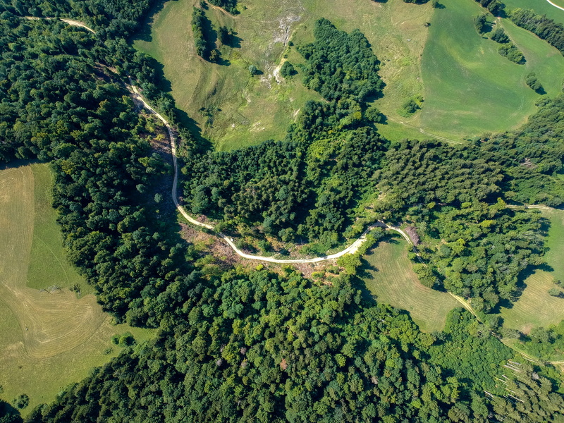 land, looking down, plant, view, outdoors, non-urban scene, environment, trees, no people, tree, woodland, high angle view, road, growth, nature, countryside