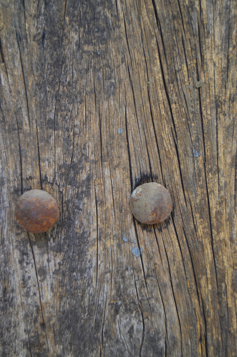 textured, natural, object, natural pattern, macro, effect, backgrounds, close-up, nature, panel, black, 5K, timber, surface, cracked, rustic, mushroom
