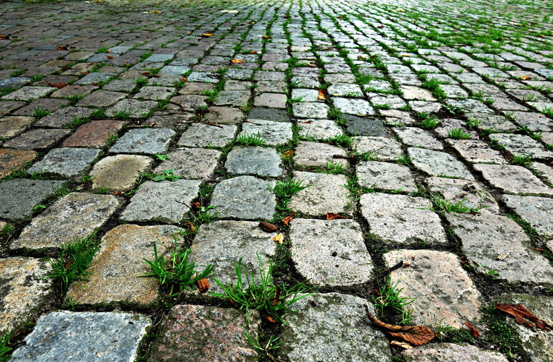 architecture, textured, high angle view, day, paving stone, roof tile, texture, uneven, solid, paving, Stone, green, surface, Cobblestone, Cobbles, pavement