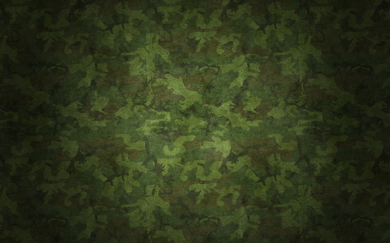 vignette, dark, paper, textile, uneven, pattern, 2K, backgrounds, green color, messy, textured, dirty, camouflage chamomile, abstract, close-up, green background