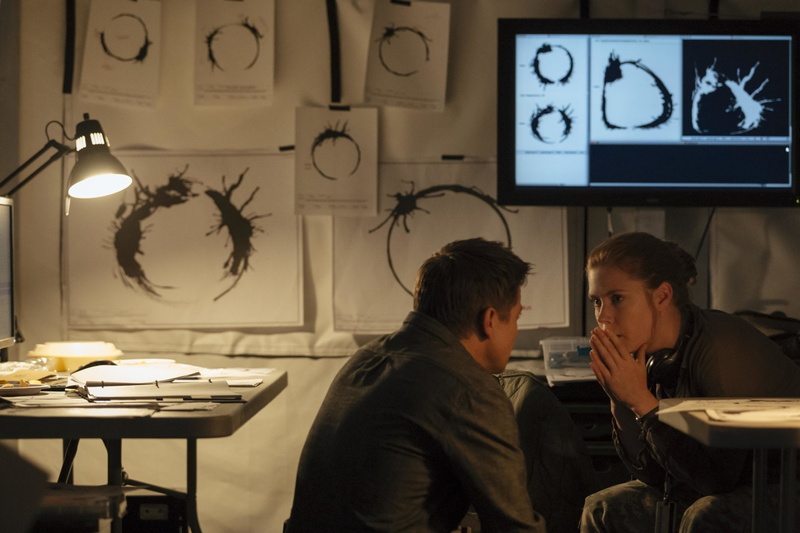 Jeremy Renner, 1080P, Movie, Arrival, Arrival (Movie), Amy Adams