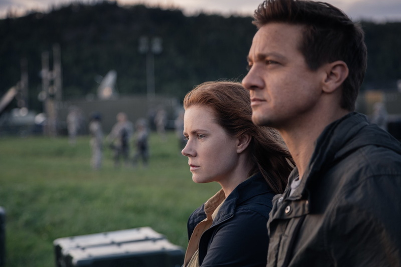 1080P, Amy Adams, Movie, Arrival, Arrival (Movie), Jeremy Renner