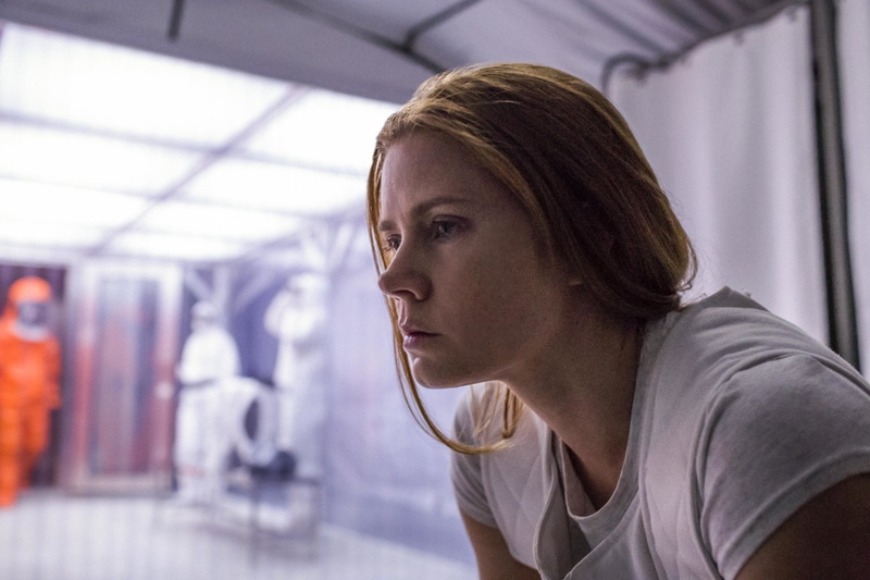 Amy Adams, Arrival, 1080P, Arrival (Movie), Movie