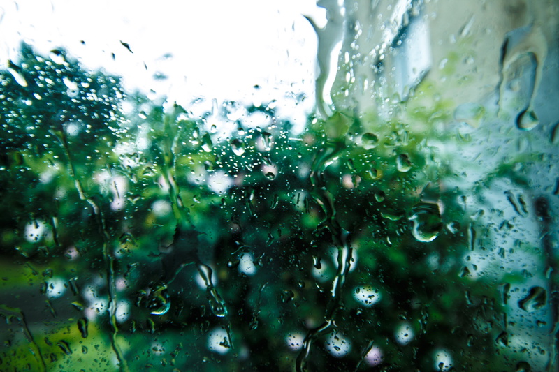 trees, windows, close-up, green color, no people, things, raindrop, view, rainy season, droplet, glass - material, liquid, bokeh, pane, 5K, glass, window