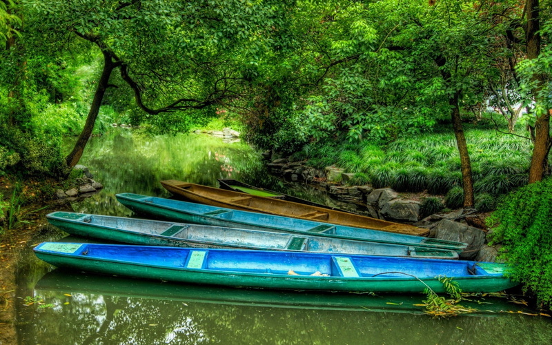 moored, trees, coast, river, tourism, vacations, plant, green, 1080P, travel Destinations, landscape, summer, greens, multi-coloured, transportation, idyllic