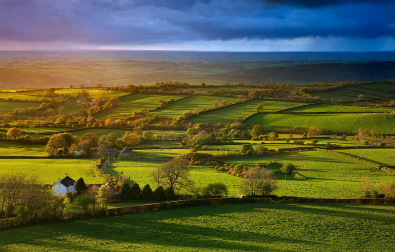 no people, plant, trees, environment, green, nature, growth, outdoors, green color, cloud - sky, morning, idyllic, rolling landscape, villages, 2K, beauty in nature