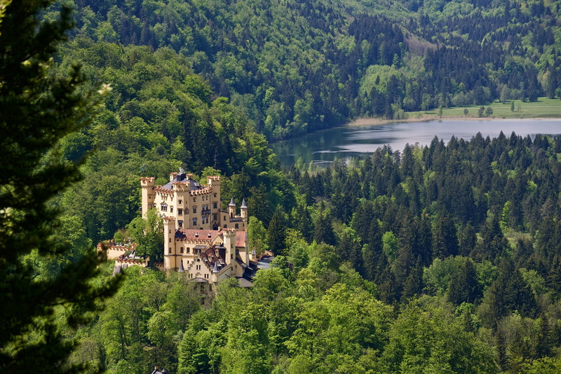 nature, Schwansee Lake, land, building, scenics - nature, Hohenschwangau Castle, 1080P, plant, non-urban scene, building exterior, Bavaria, Castle Hohenschwangau