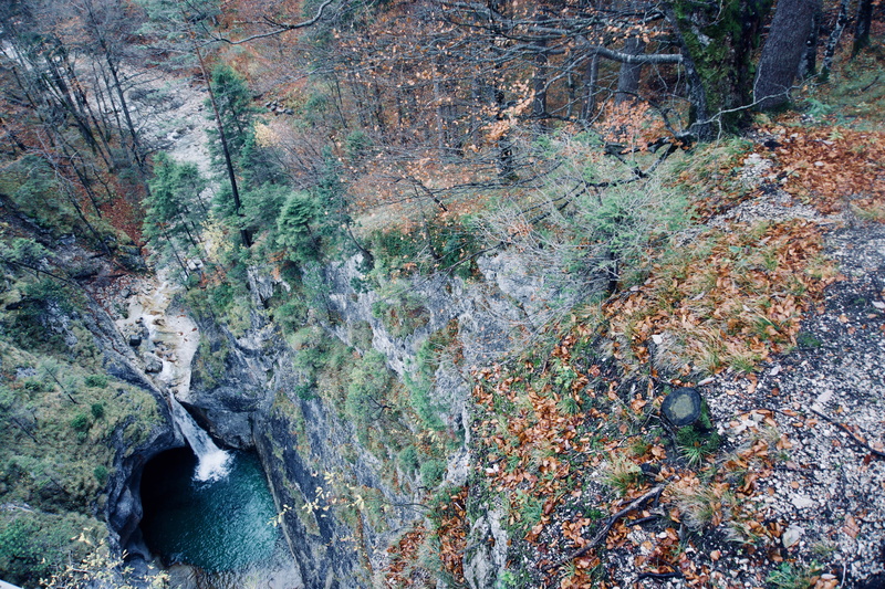 river, no people, rock, eroded, day, land, trees, growth, bavaria, tranquility, rock - object, germany, flowing water, non-urban scene, water, stream - flowing water