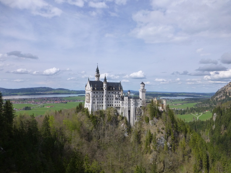 tree, 1080P, no people, sky, scenics - nature, ludwig ii, fairytale, building, place of worship, cloud - sky, palace, hohenschwangau, built structure