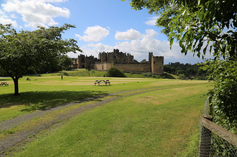 castle, ancient, cloud - sky, sunlight, no people, 5K, land, alnwick, green color, the past, history, day, building exterior, nature, Alnwick Castle, grass