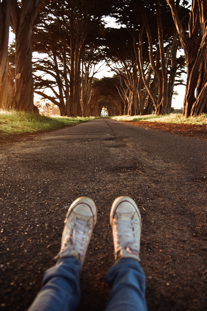 outdoors, explore, one Person, sports Shoe, conver, tree, tunnel, californium, females, valley, person, 4K, grass, women, summer, human Leg, converse