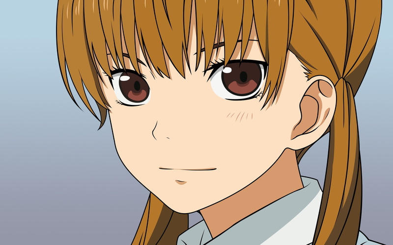 konachan, close, kaibutsu-kun, vector, brown, 2K, gradient, eyes, com, hair, mizutani, shizuku, tonari, 244974