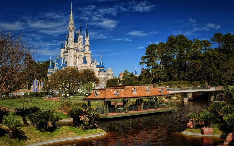 plant, park - Man Made Space, travel Destinations, nature, belief, 1080P, sky, history, walt disney world, building, built Structure, white, tree, tower