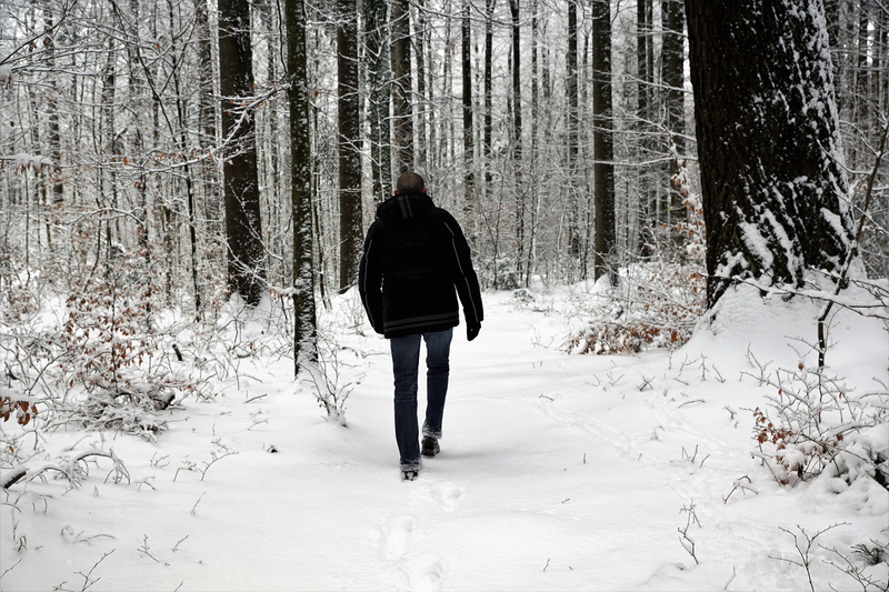 bush, lifestyles, fog, 5K, fashion, jacket, snowy, tuttlingen, branch, walking, clothing, frost, land, hike, meditation, time out, path, frozen, wood