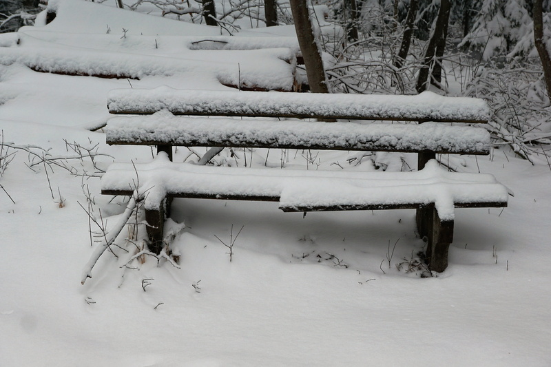 frosty, snowy, germany, temperature, hike, recovery, holiday, places of interest, blizzard, snowing, holidays, season, empty, cold, nature, 5K, cold temperature