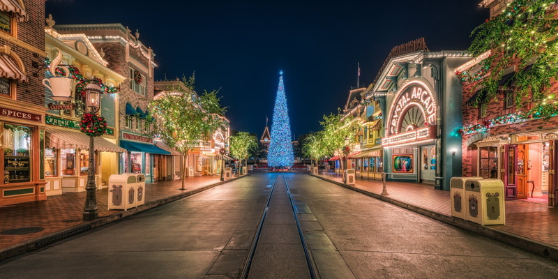 Disneyland, California, Holiday, Light, Christmas Tree, Christmas, 1080P, Square