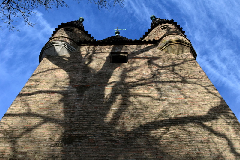 autumn, historically, masonry, tree, turret, sunlight, the past, historic building, sleeping beauty, blue, kahl, no people, outdoors, building, tower, fairy tales