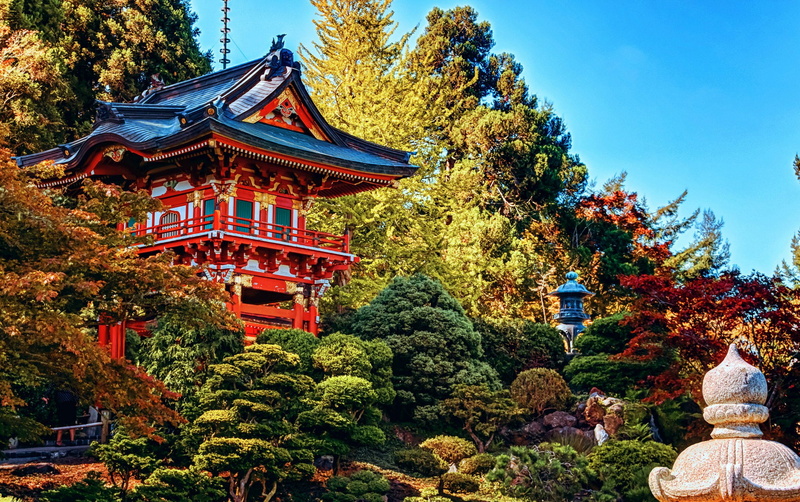 asian, 1080P, design, shrubs, gardem, nature, anaheim, oriental, disney, usa, park, disneyland, amusement, hdr, houses, california