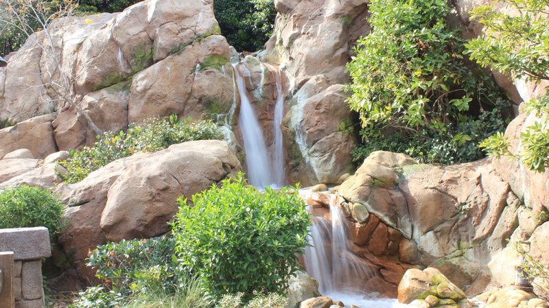 land, geology, rock, green, rock formation, formation, growth, scenics - nature, plant, tree, outdoors, Disney Land, Nature, day, Waterfall, flowing, non-urban scene