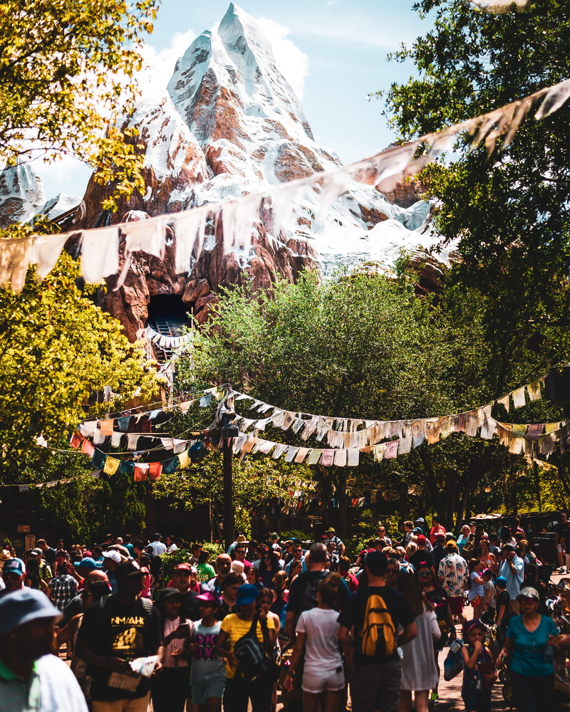 summer, outdoors, capped, plant, foot, amusement park, leisure activity, lifestyles, nepal, 2K, everest, tree, real people, crowd, men, gathered, animal kingdom