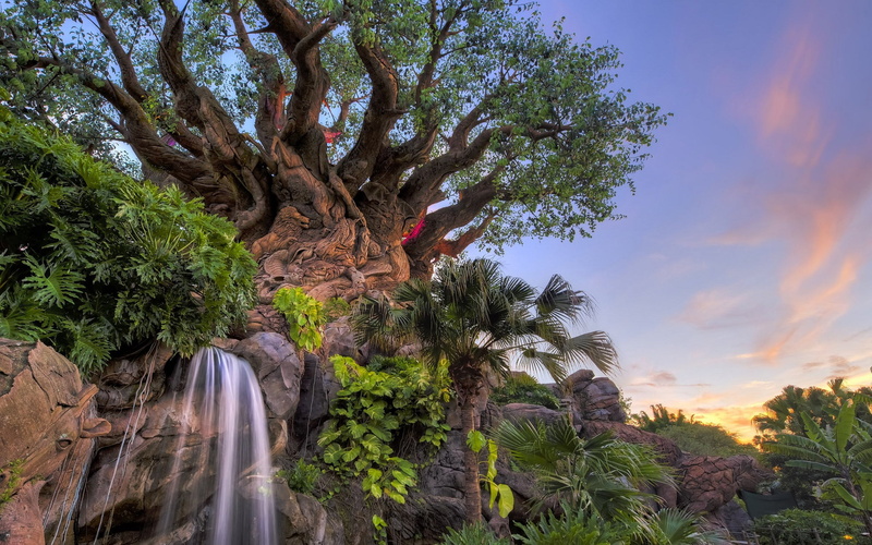 trees, Disneys Animal Kingdom, 1080P, Florida, waterfall, FL, Walt Disney World Resort, Park, Disney world