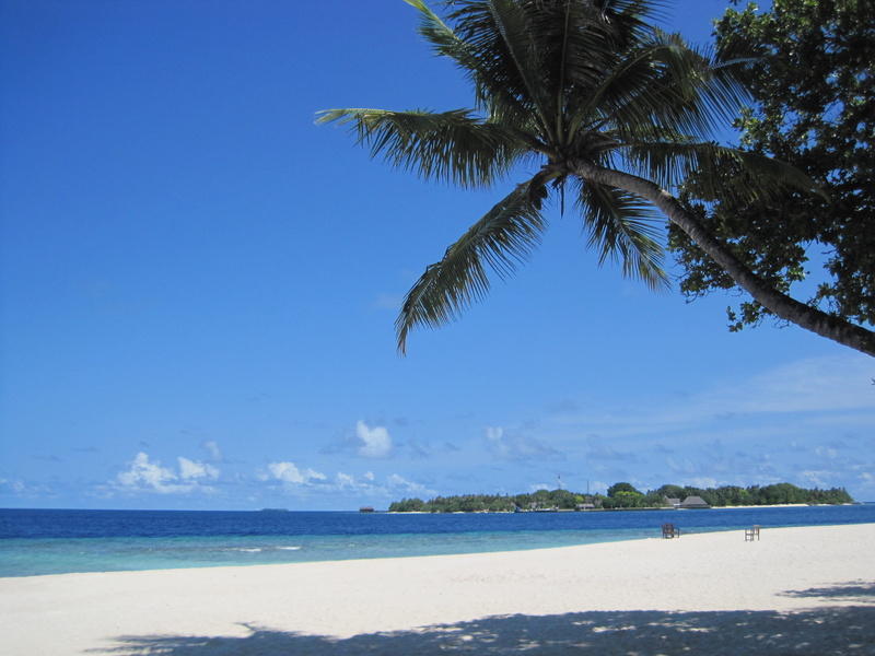 scenics - nature, 2K, bandos, horizon over water, sun, sea, nature, tropical tree, idyllic, tropical climate, palm leaf, maldives, sky, tranquil scene
