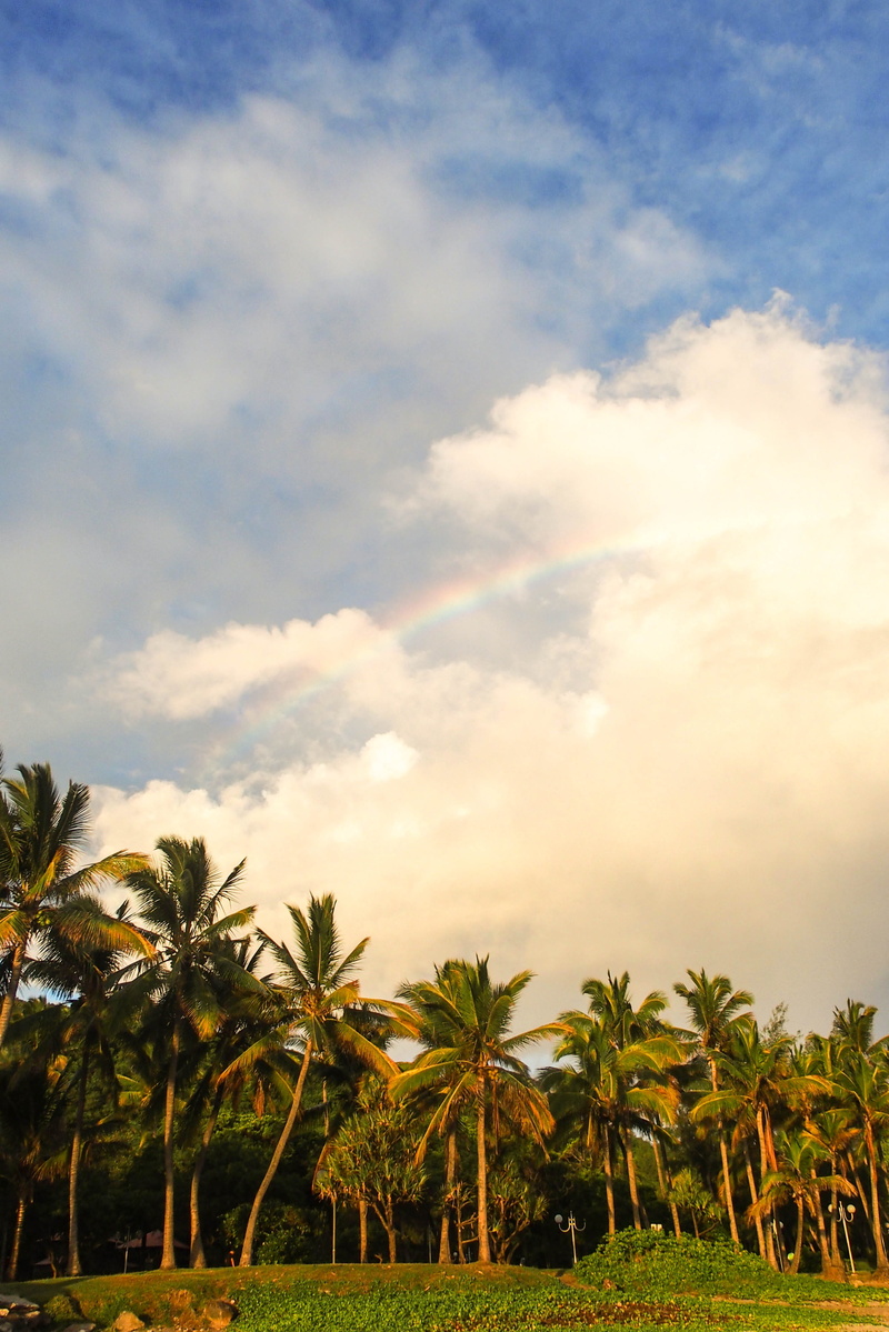 growth, no people, 4K, cloud - sky, tropical tree, blue sky, vibe, green, palm trees, tropical climate, grande anse, tranquil scene, sky, ocean, land