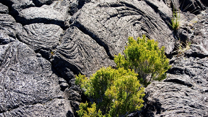 day, formation, tranquility, 4K, eroded, endemic, geology, rock - object, bush, beauty in nature, sunlight, solid, land, textured, inflamed, mountain