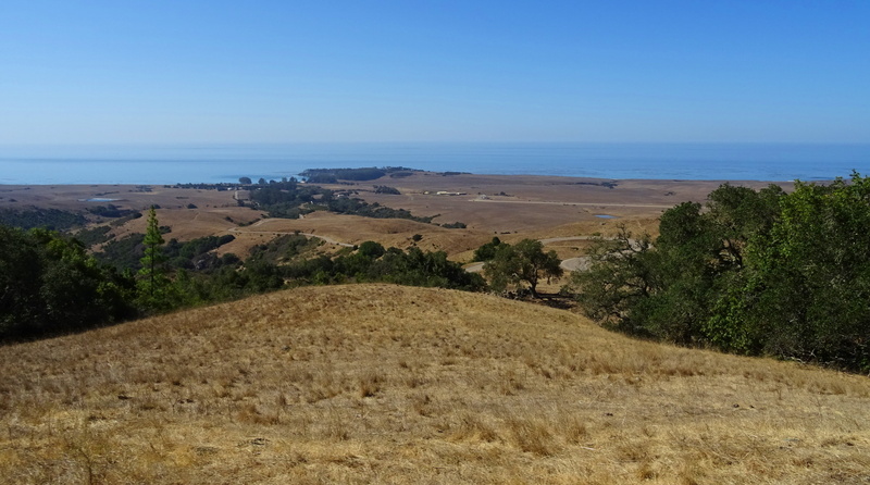 usa, tranquility, pacific, hearst castle, scenics - nature, non-urban scene, beach, plant, tree, coast, land, sea, ranch, sky, water, landscape, nature