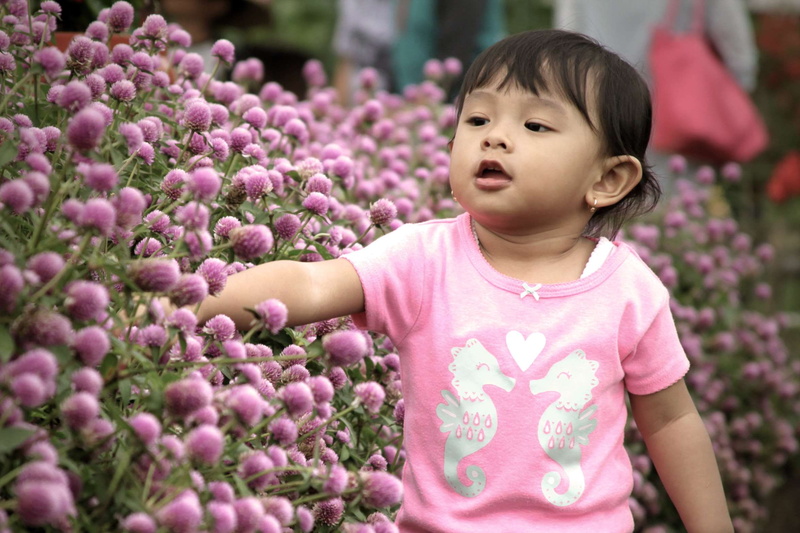 child, plant, babyhood, innocence, waist up, cute, 1080P, daughter, day, baby, beauty in nature, flower, asia, children, looking, kids, standing, hairstyle