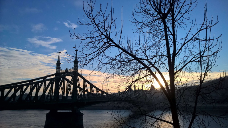 branch, budapest, sky, river, silhouette, bridge - man made structure, cloud - sky, achitecture, water, sunshine, bare tree, plant, outdoors, bridge, hungary