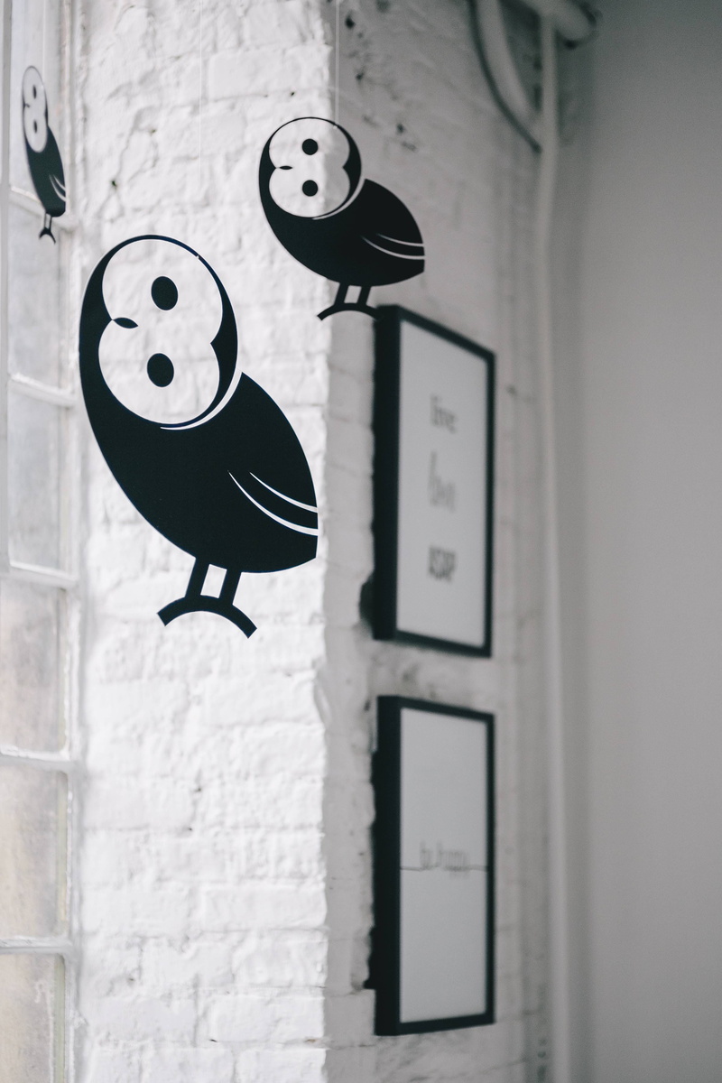 home interior, built structure, 4K, time, mounted, minute hand, number, wall, owls, ceiling, building, no people, plastic, day, birds, human representation