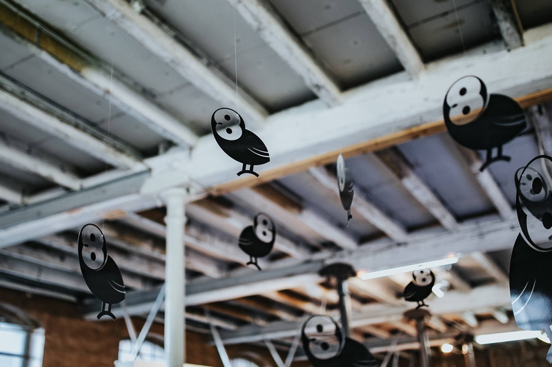 birds, black, bird, wood - material, indoors, hanging, outdoors, close-up, technology, little, plastic, no people, ceiling, day, backgrounds, 2K, industry