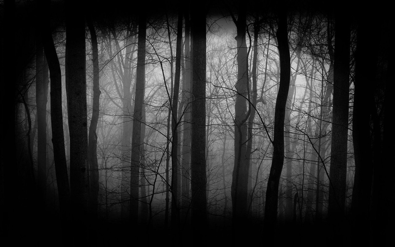 2K, backgrounds, branch, tranquil scene, land, Dark, beauty in nature, scary, creepy, Evil, bare tree, no people, tree, forest, spooky, tree trunk, fog