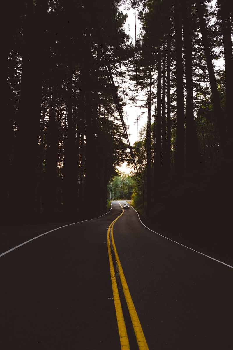 nature, car, sign, direction, 4K, outdoors, travel, lane, traffic, journey, dividing Line, asphalt, country, curve, silhouette, no People, double yellow line