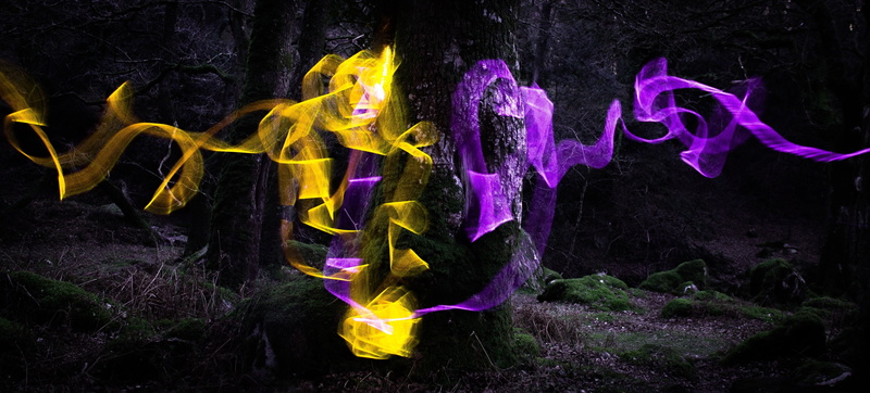 tree, multi colored, photography, motion, night, purple, outdoors, black background, representation, dark, outdoor lighting, magical, landscape, magic