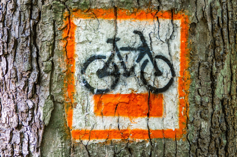 the signs, number, wood - material, built structure, signpost, no people, close-up, travel, orange color, communication, trunk, textured, tourism, trail