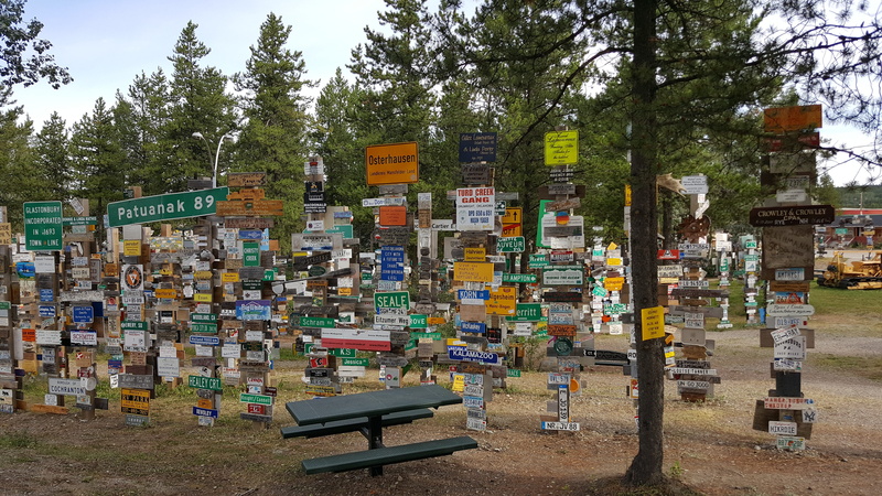 bench, no people, plant, park - man made space, signpost forest, tree trunk, Forest, park, sky, built structure, growth, watson lake, yukon, alaska highway