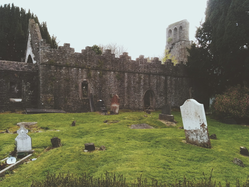 graveyard, animal themes, tombstone, animal, ancient, grave, plant, nature, sky, cemetery, no people, built structure, group of animals, history, outdoors