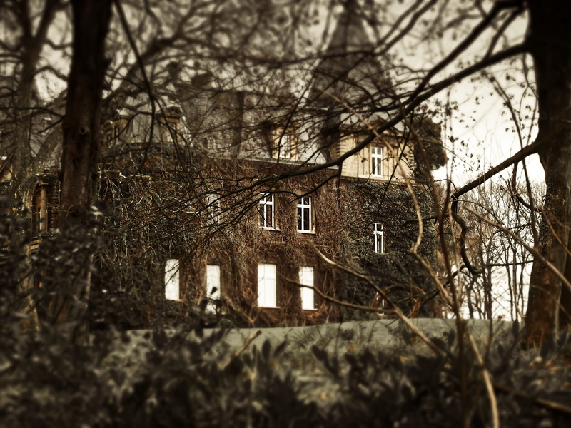 miniature effect, residential district, roots, mystical, bare tree, abandoned, architecture, spooky, scary, weird, tilt shift, tree, brown, creepy, building exterior
