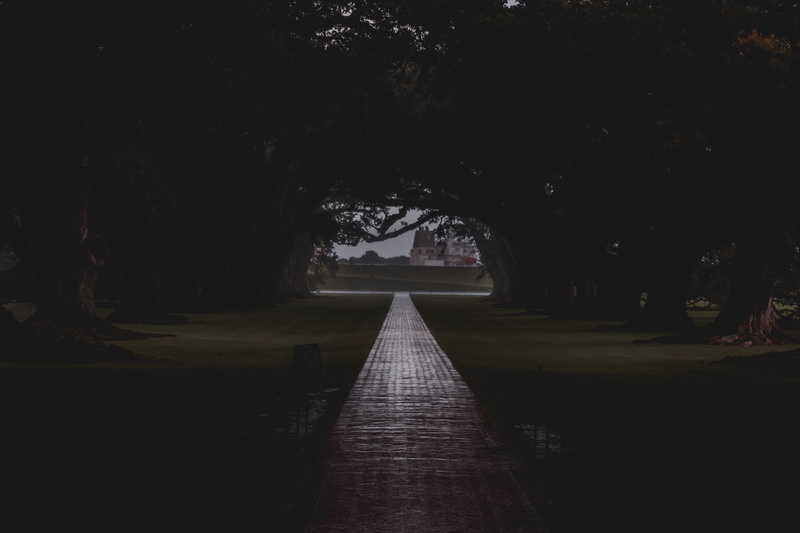 growth, no people, empty, nature, transportation, outdoors, long, road, footpath, diminishing perspective, river, tree, vacherie, oak alley plantation