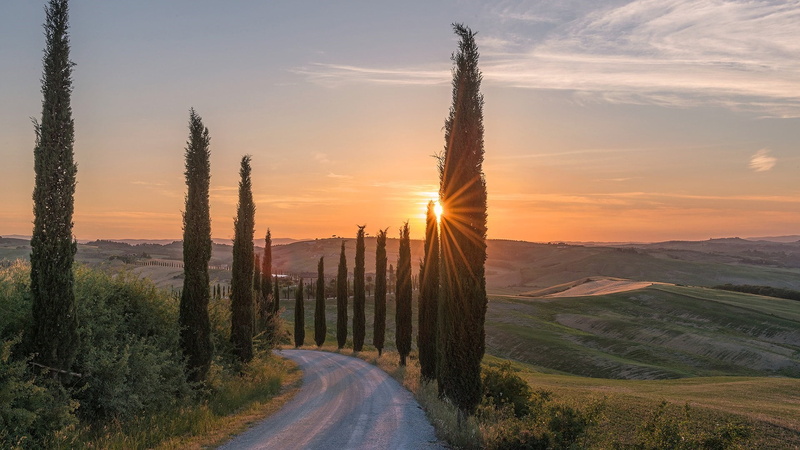 tree, non-urban scene, sky, morning, transportation, outdoors, italy, the way forward, no people, cypresses, tranquil scene, cypress tree, sunset, scenics - nature